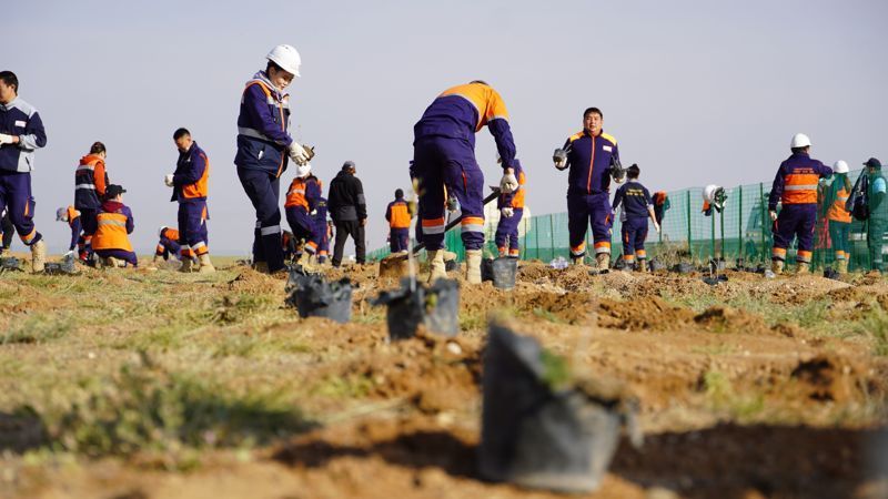 ТАВАНТОЛГОЙ ТӨМӨР ЗАМ КОМПАНИ 1000 ХАРМАГНЫ ҮРСЭЛГЭЭ СУУЛГАЛАА