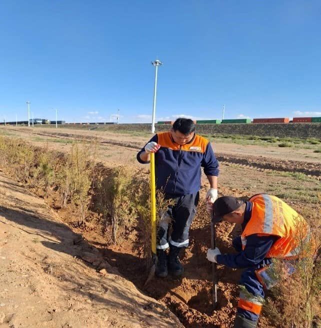 ТАВАНТОЛГОЙ ТӨМӨР ЗАМ” ХХК МОД ҮРЖҮҮЛГИЙН ГАЗАР БАЙГУУЛАХААР ОЙН МЭРГЭЖЛИЙН БАЙГУУЛЛАГА “ХАН-АЛТАЙ САН” ХХК-ТАЙ ХАМТРАН АЖИЛЛАНА