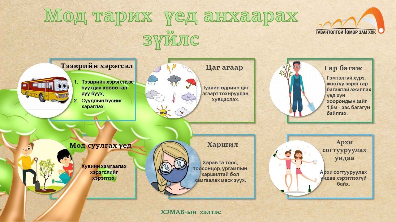 Мод тарих үед анхаарах зүйлс